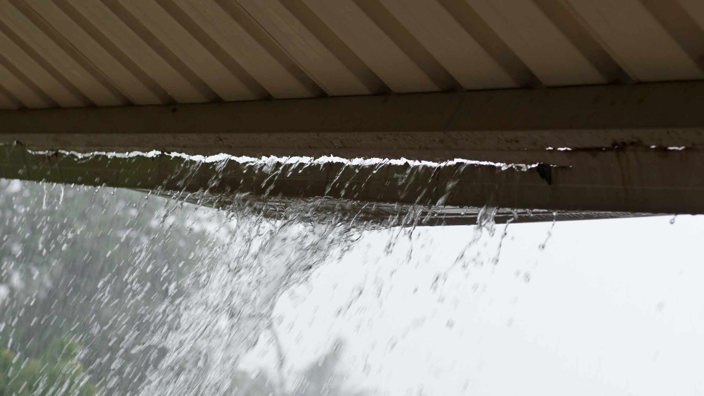 Behebung von Dachlecks